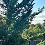 酒店 Mateo 伊斯坦布尔