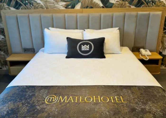 Hotel Mateo *